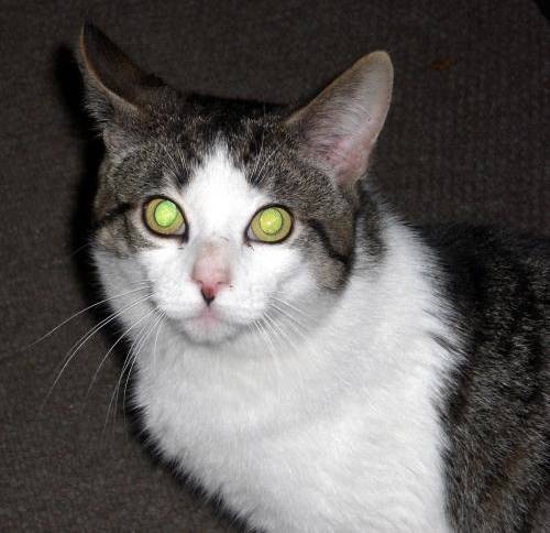 max