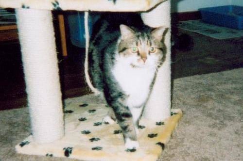 Abby
