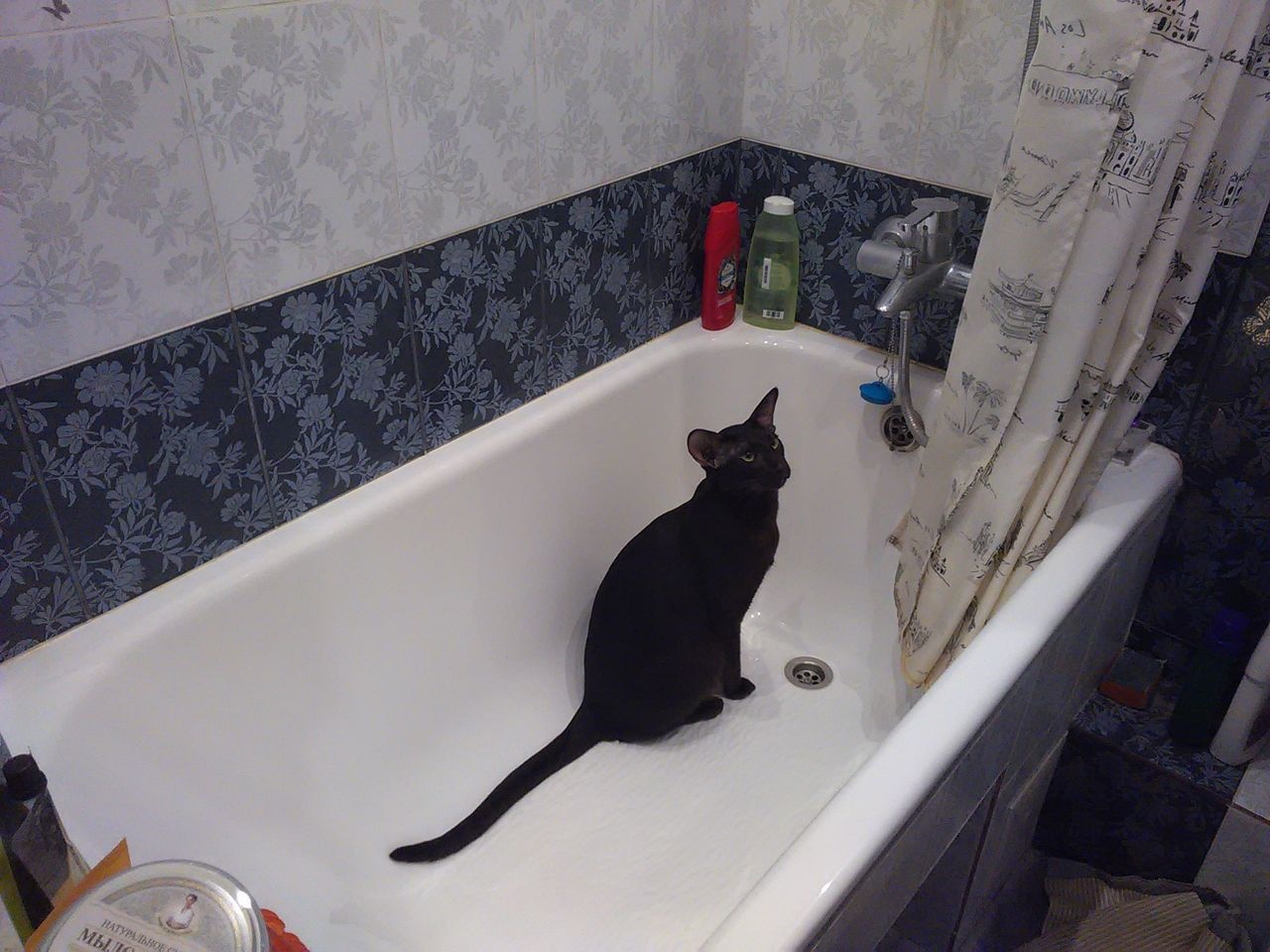 Philip
