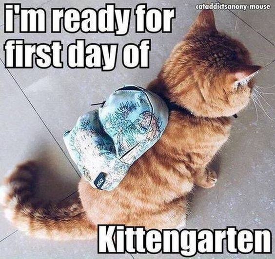 Kristofer