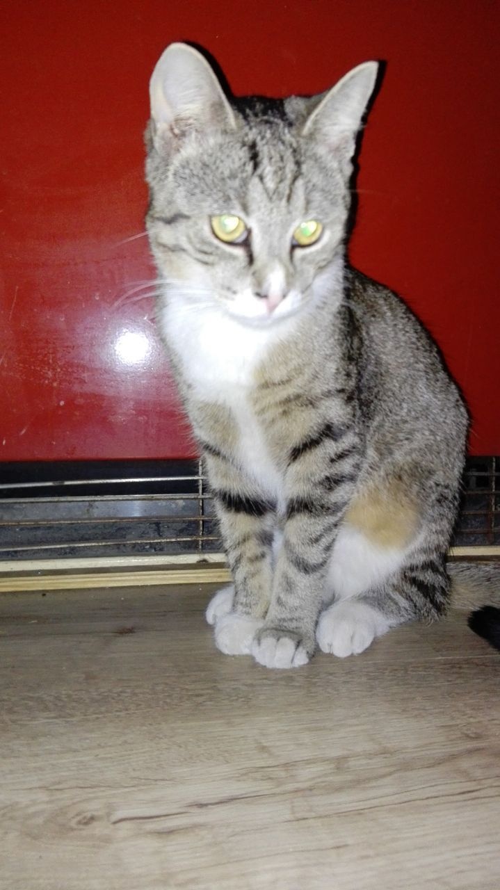 Azzizah