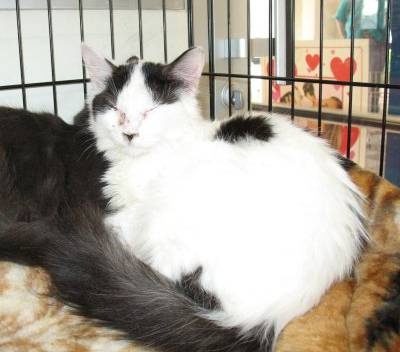 Jonathan