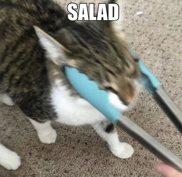 Robert