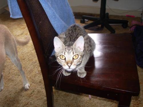 Max