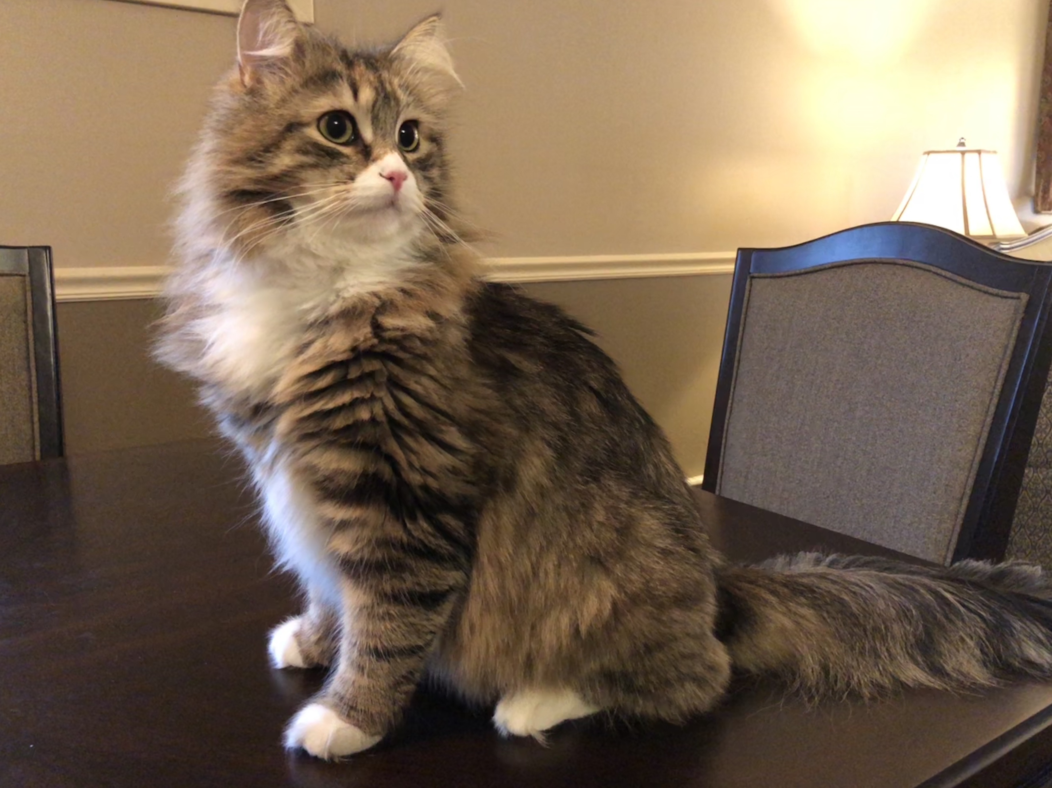Zoe