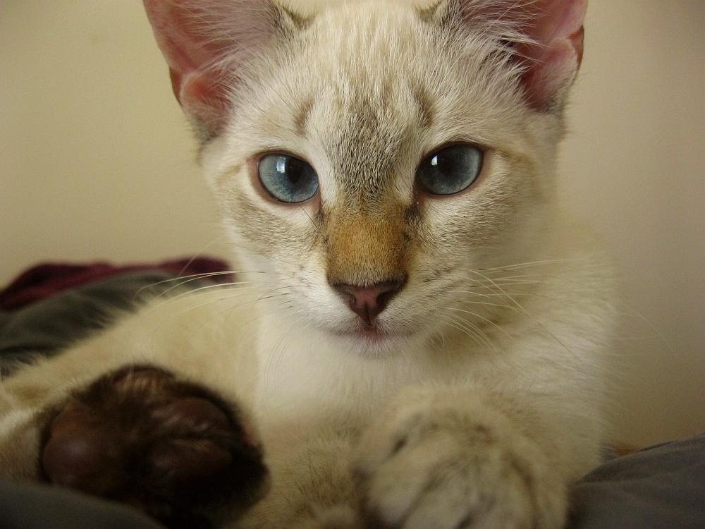 Sam