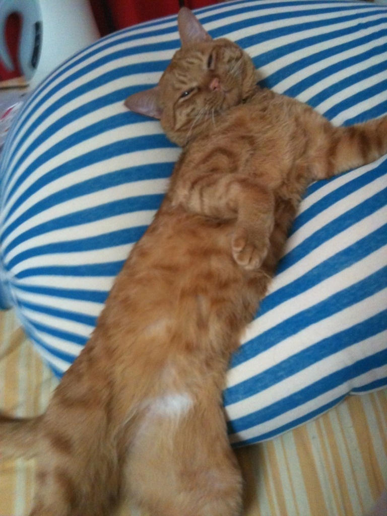 Sherry