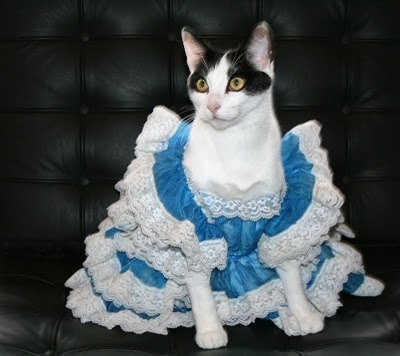 Selina