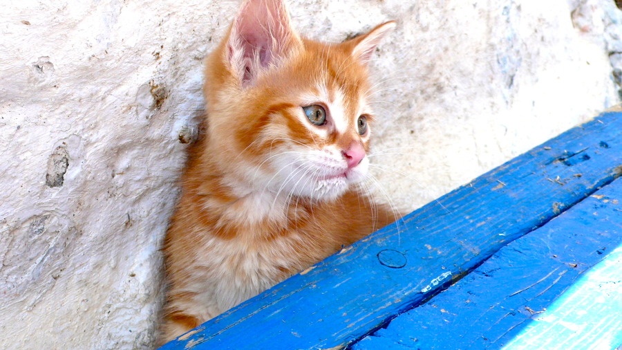 McKenna