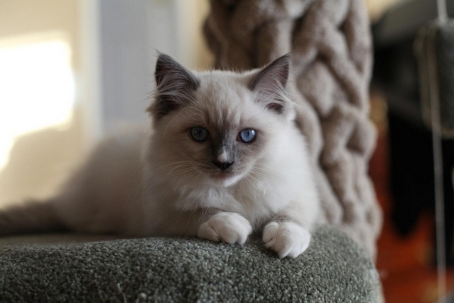Eduardo