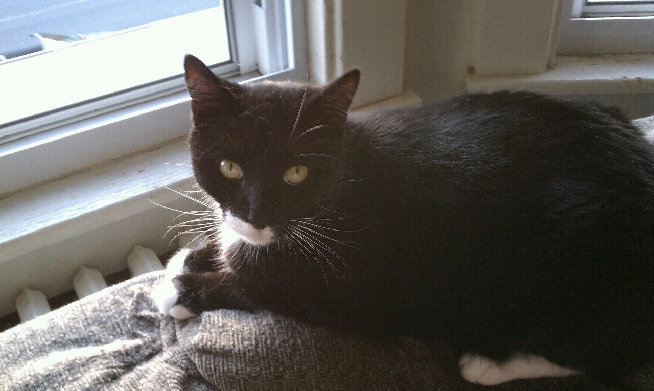 Matilda