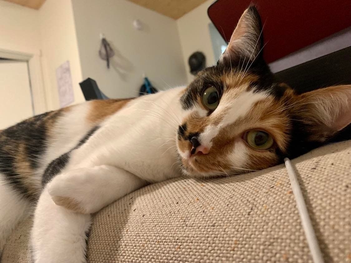 Axel