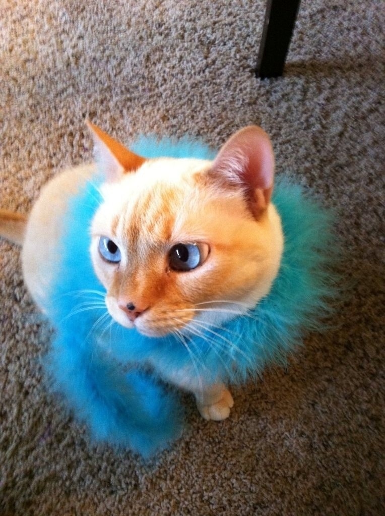 Eugene