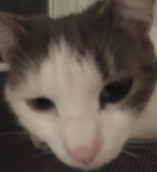 Michael