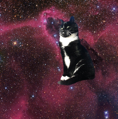 郭芮安