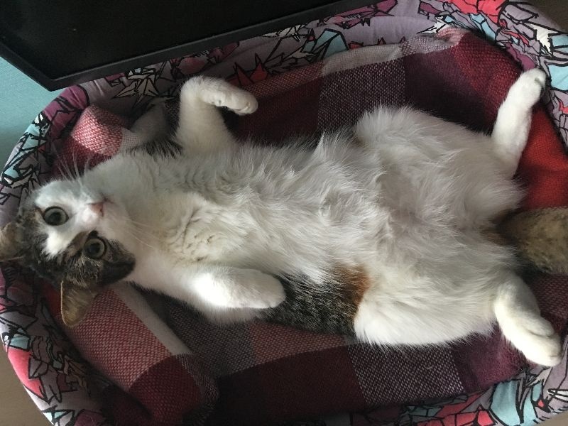 Nora
