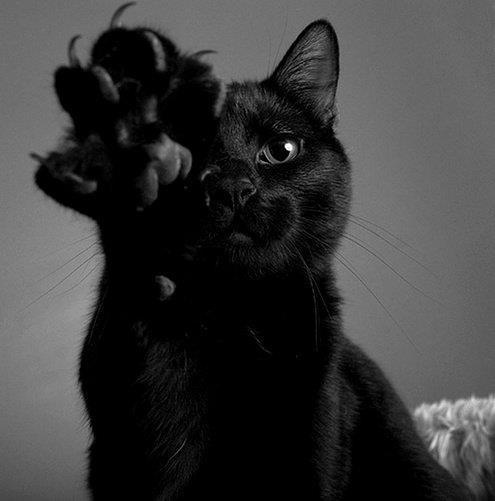 Maggie