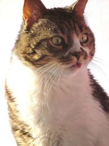 Charlie