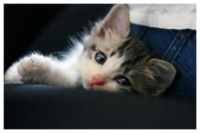 Carl