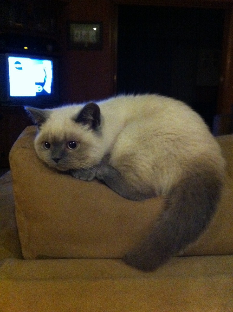 walter