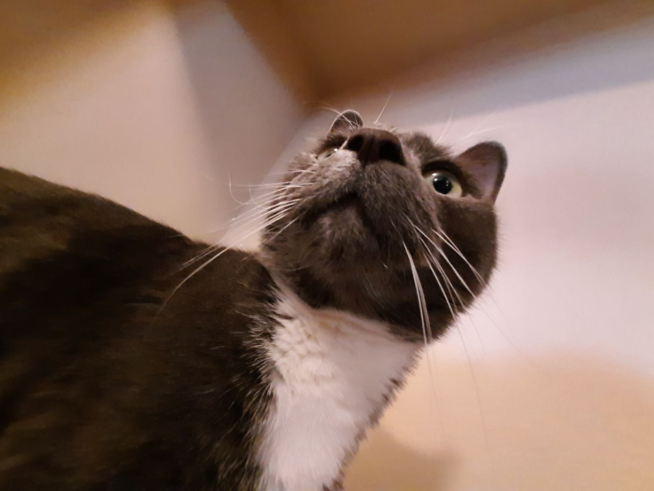 Mike