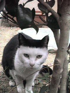 Richard