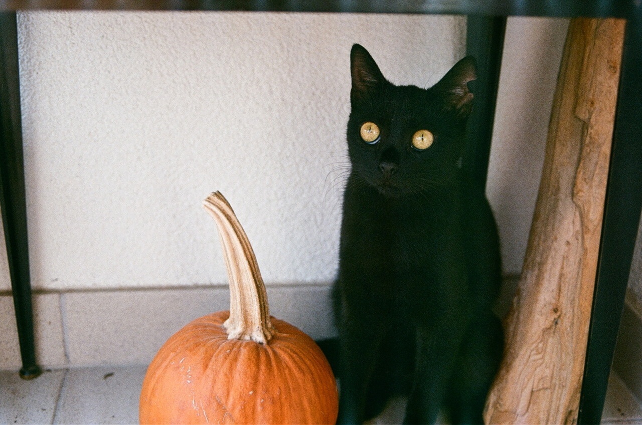 Julian