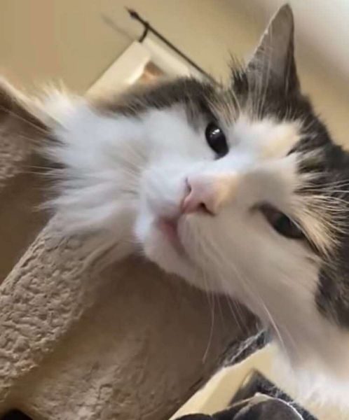 Peter