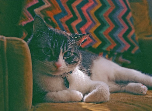 Lizzie
