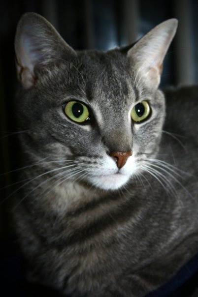 Lillian