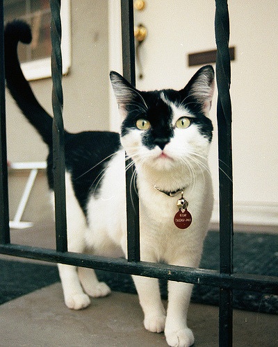 Gabriel