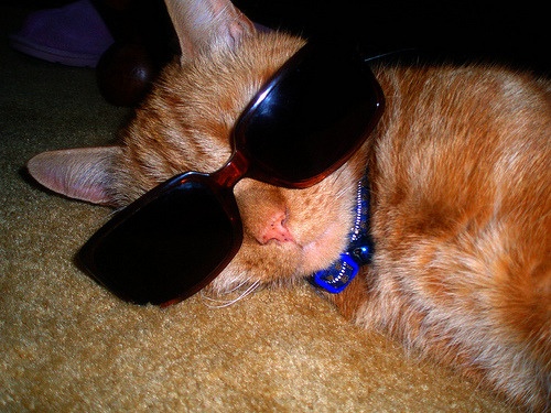 Jasper