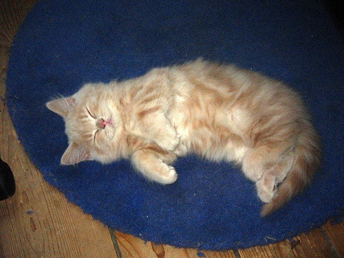 Emmett