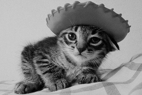 lucia