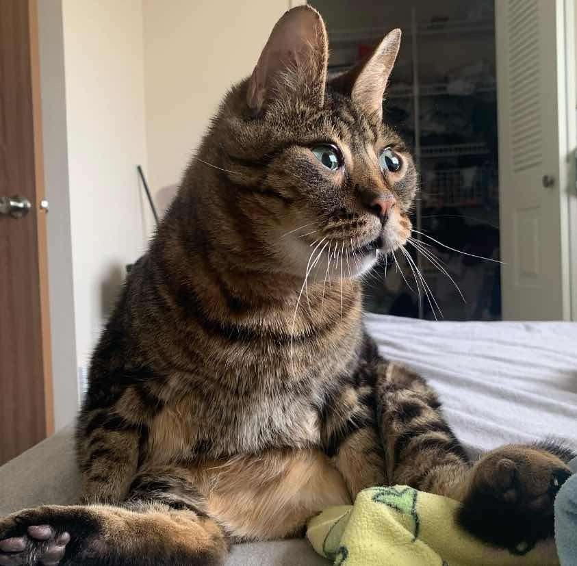 Oscar