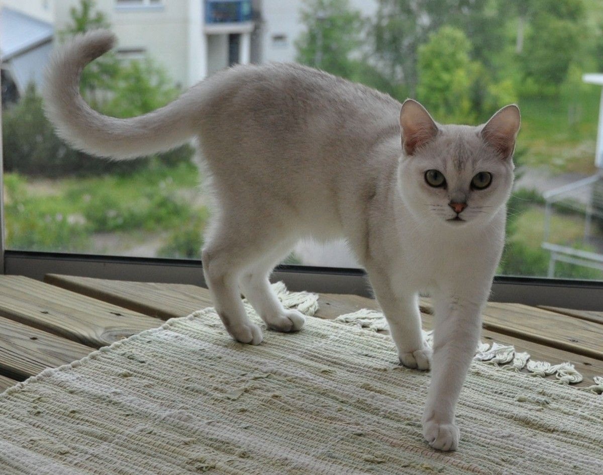 Edward