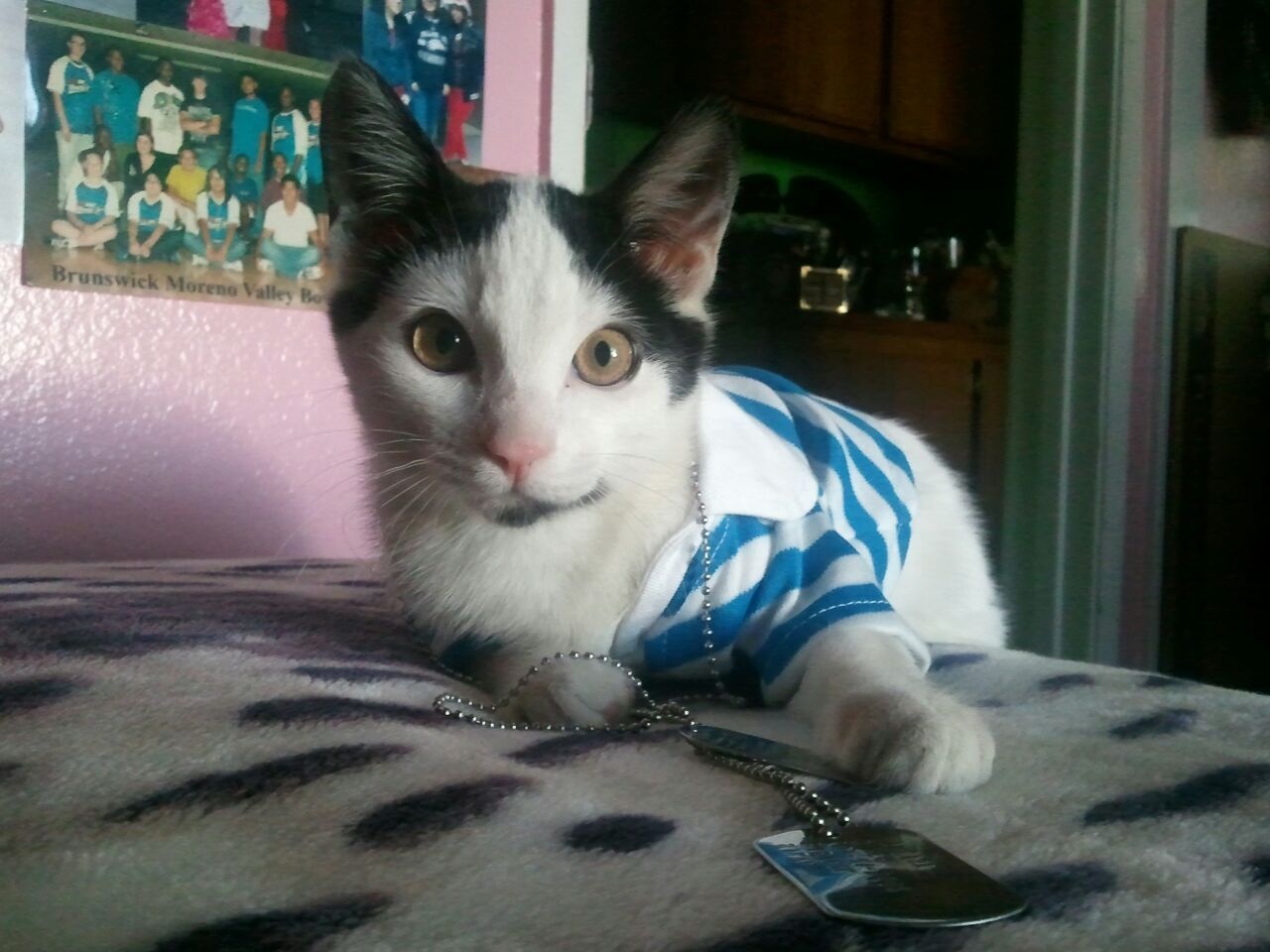 Mika