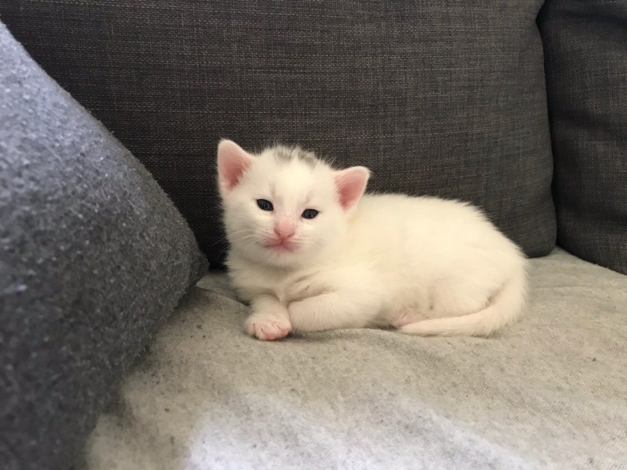 MATILDA