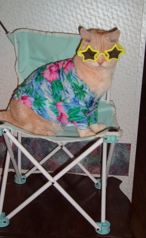Meredith
