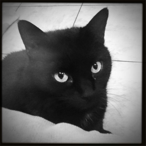 Beau