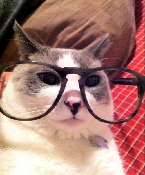 Leonard