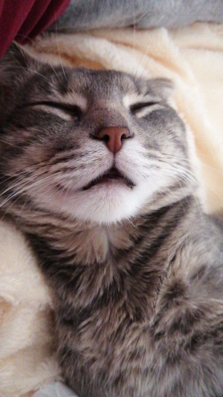 Alex