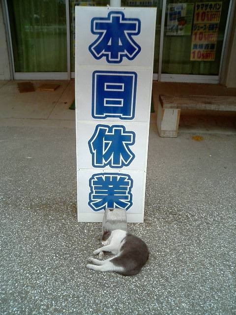 Hanh