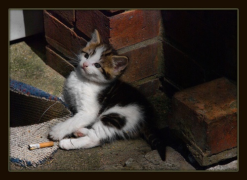 Juliette