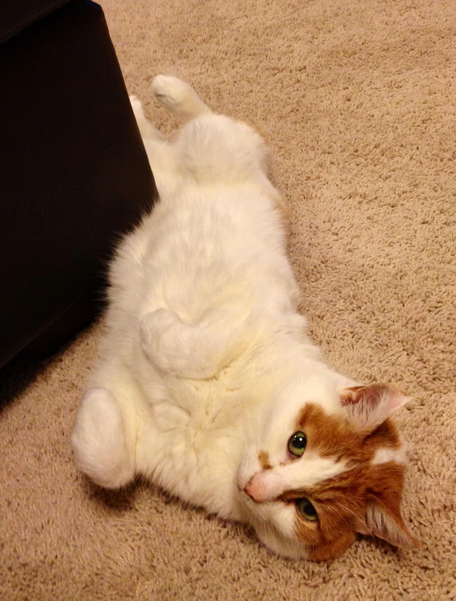 Catherine
