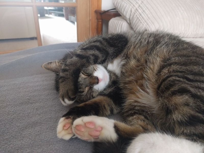 Max