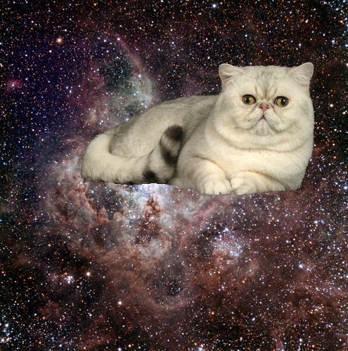 Thomas