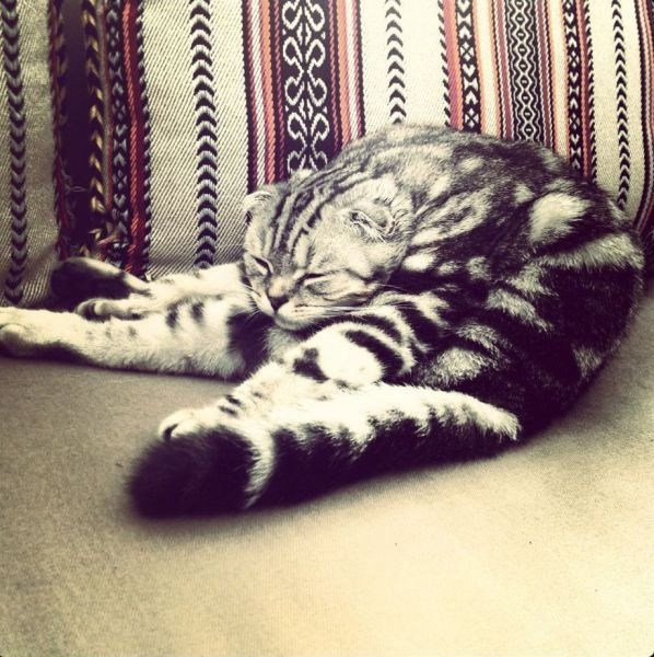 William